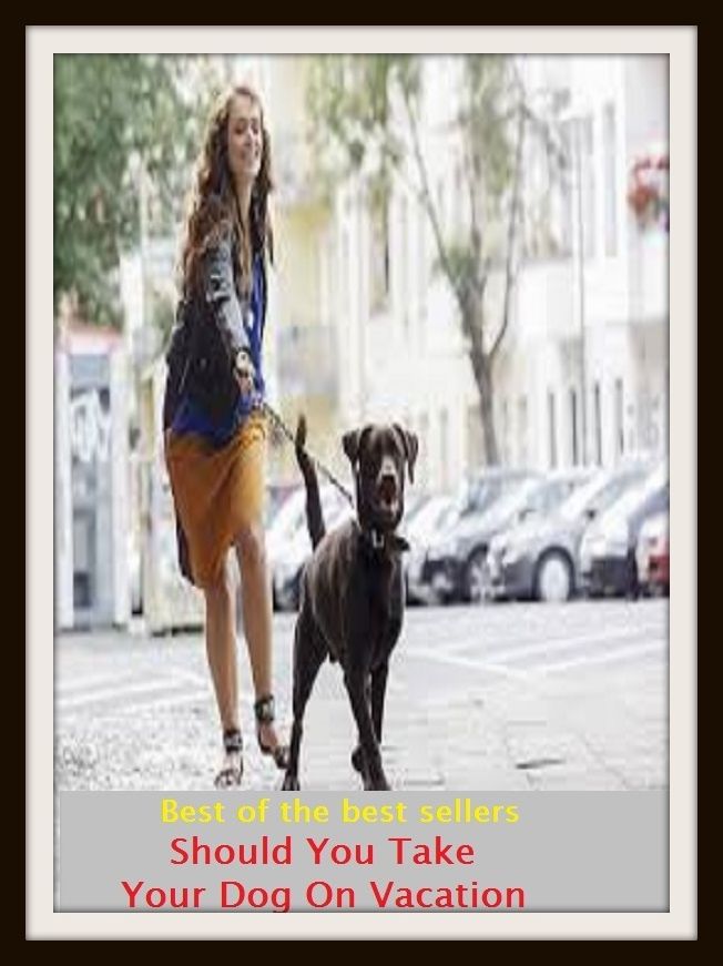 Best of the Best Sellers Should You Take Your Dog On Vacation ( shorts, shorty, sough, should, should of, should/would like, should, shoulder, shoulder angel, shoulder arms)