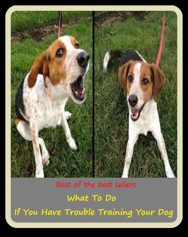 Best of the Best Sellers What To Do If You Have Trouble Training Your Dog ( trouble maker, trouble oneself, trouble shooter, trouble spot, trouble the scorers, trouble trouble, trouble-free, trouble-shoot, troubled, troubled)