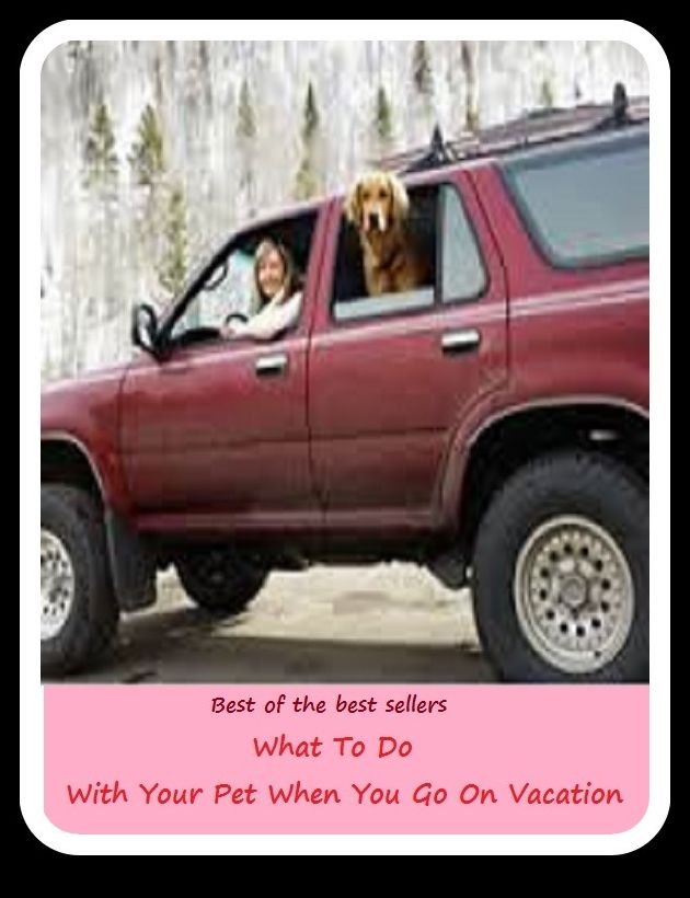 Best of the Best Sellers What To Do With Your Pet When You Go On Vacation ( pet shop, pet sitter, pet sitting, pet store, pet tag, petite, Sandor, pet-food, pet360, peat , peat-)