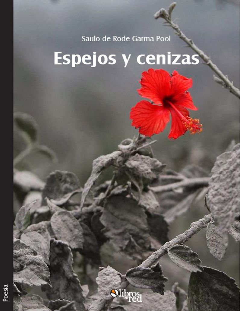 Espejos y cenizas