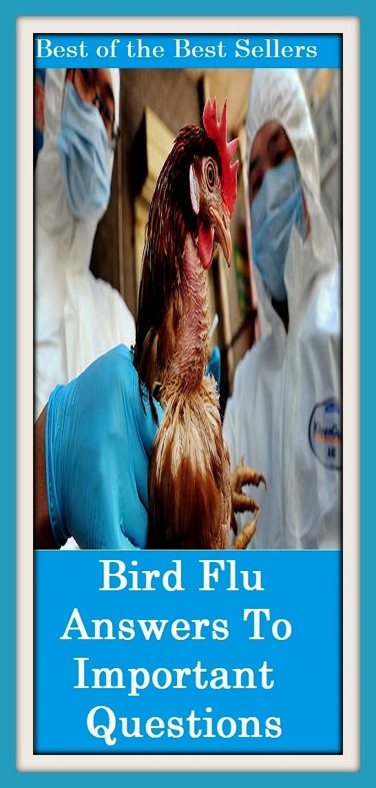 Best of the best sellers Bird Flu Answers To Important Questions ( exercise, meditation, acupuncture, disease, digestive system, formula, medicine, remedy, fix, treatment, action, conduct, behavior, handling, gastrin, fitness, vitamins, healing, diet )