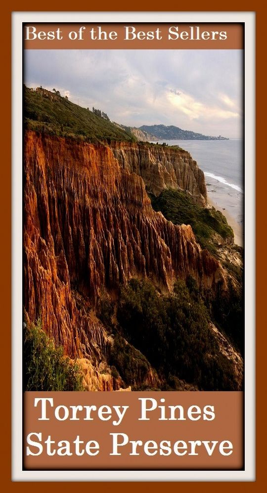 Best of the best sellers Torrey Pines State Preserve ( book, drama, fable, myth, story, tale, narrative, account, yarn, legend, fairy tale, chronicle, anecdote )
