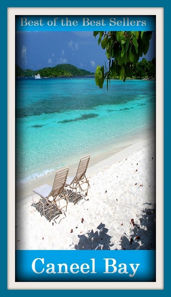 Best of the best sellers Caneel Bay ( travel, driving, excursion, flying, movement, navigation, ride, sailing, sightseeing, tour, trip, journey, amusement, enjoyment, fun, hobby, pleasure, relaxation, refreshment )