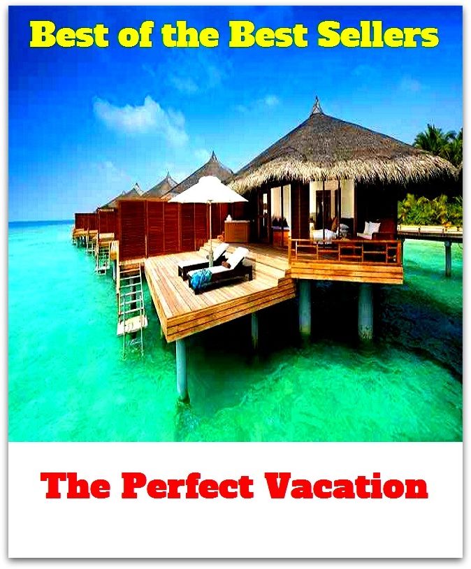 Best of the best sellers The Perfect Vacation ( travel, driving, excursion, flying, movement, navigation, ride, sailing, sightseeing, tour, trip, journey, amusement, enjoyment, fun, hobby, pleasure, relaxation, refreshment )