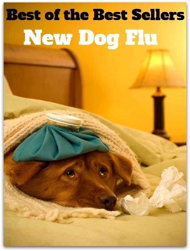 Best of the best sellers New Dog Flu ( exercise, meditation, acupuncture, disease, digestive system, formula, medicine, remedy, fix, treatment, action, conduct, behavior, handling, gastrin, fitness, vitamins, healing, diet, cut down, starve yourself )