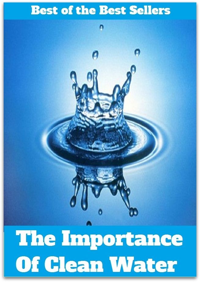 Best of the best sellers The Importance Of Clean Water ( essay, paper, thesis, dissertation, composition, article, treatise, theory, idea, hypothesis )