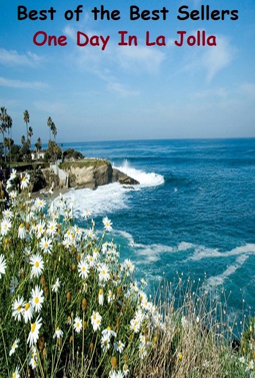 Best of the best sellers One Day In La Jolla ( travel, driving, excursion, flying, movement, navigation, ride, sailing, sightseeing, tour, trip, journey, amusement, enjoyment, fun, hobby, pleasure, relaxation, refreshment )