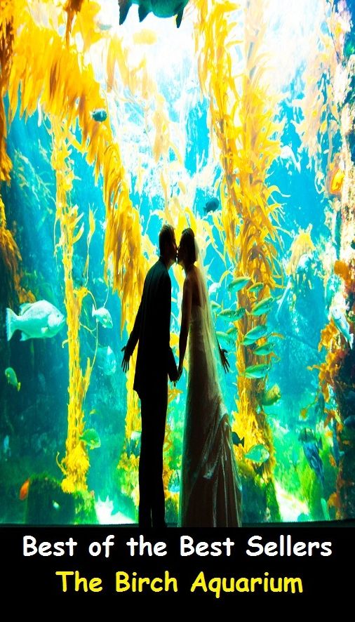 Best of the best sellers The Birch Aquarium ( travel, driving, excursion, flying, movement, navigation, ride, sailing, sightseeing, tour, trip, journey, amusement, enjoyment, fun, hobby, pleasure, relaxation, refreshment )