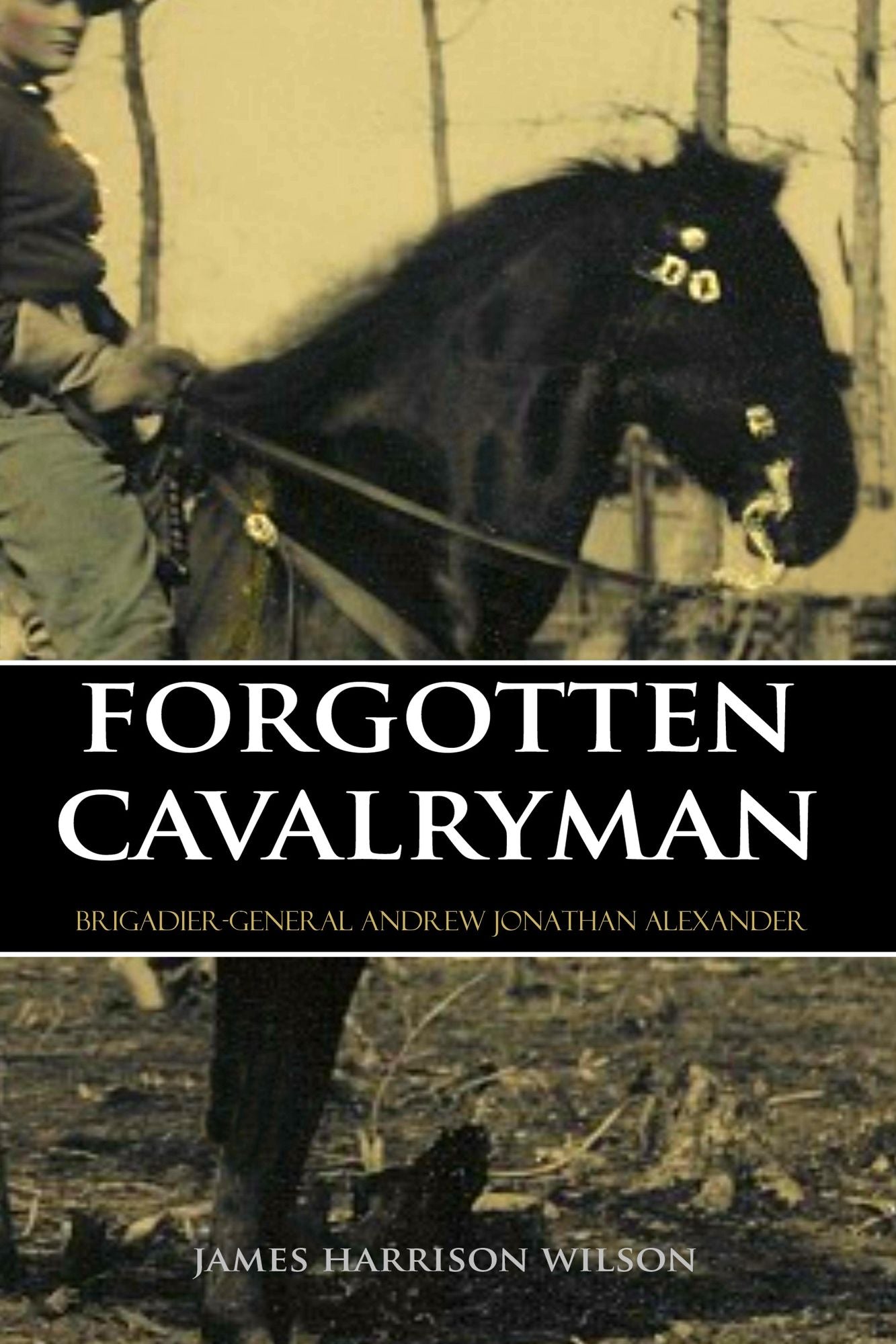 Forgotten Cavalryman: Brigadier~General Andrew Jonathan Alexander