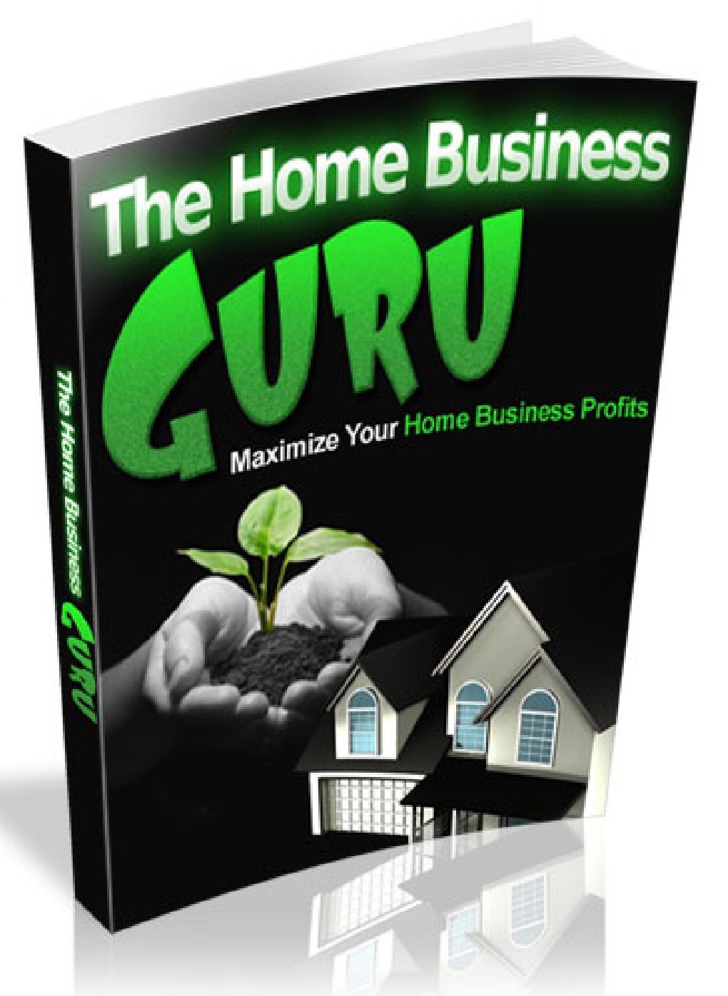The Home Business Guru - Maximize Home Business Profits (AAA)