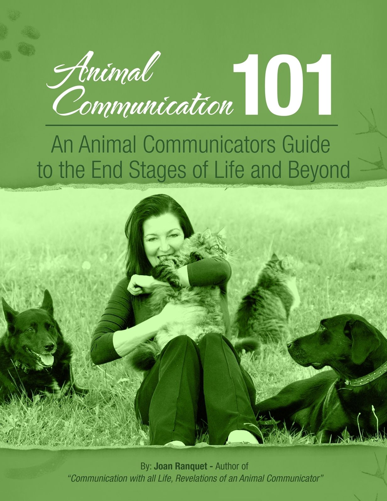 An Animal Communicators Guide to the End Stages of Life and Beyond