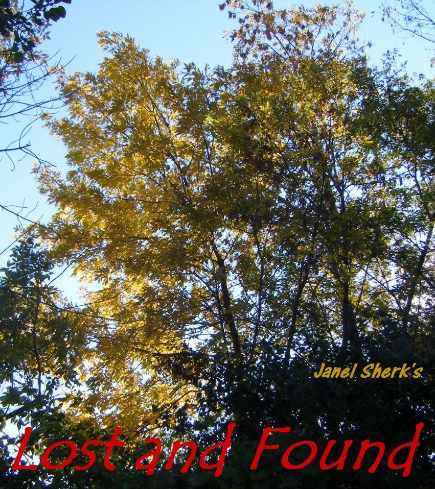 Lost and Found