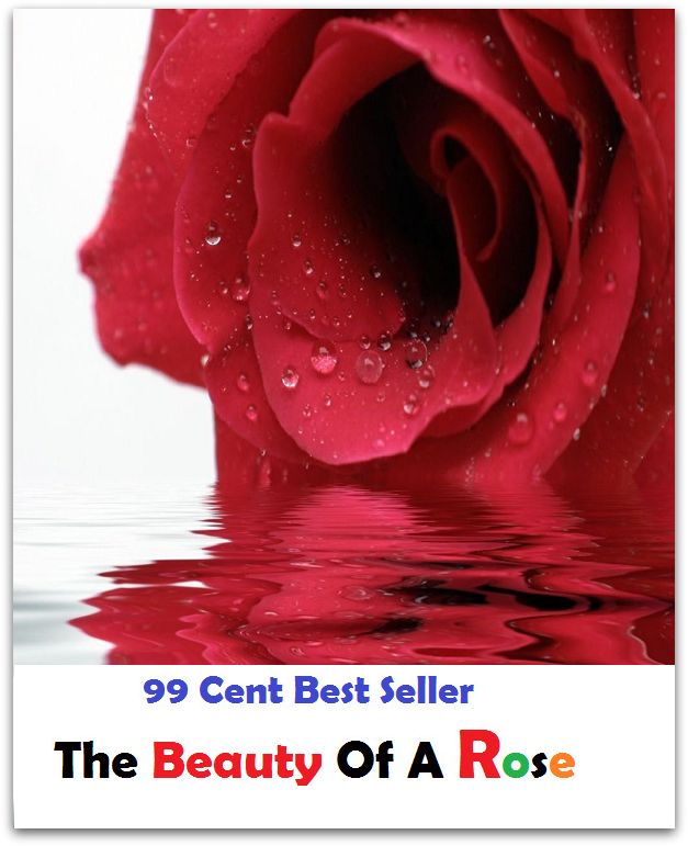 99 Cent Best Seller The Beauty Of A Rose ( lulu, sweetheart, stunner, peach, ravisher, beauty, fantasy, romantic, romance, looker, knockout, dish, mantrap, smasher )