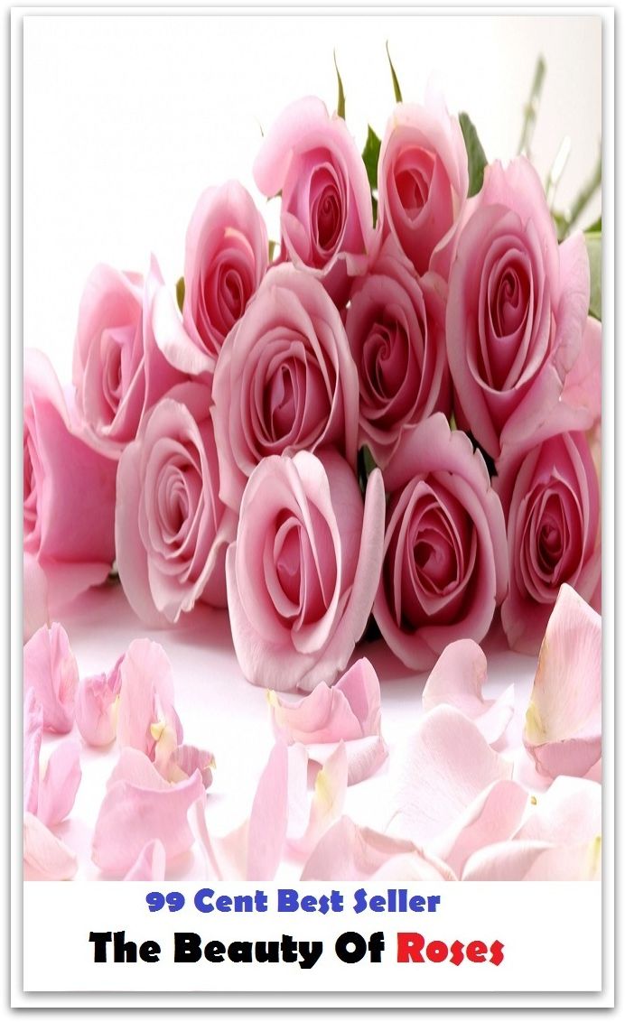 Beauty: 99 Cent Best Seller The Beauty Of Roses ( lulu, sweetheart, stunner, peach, ravisher, beauty, fantasy, romantic, romance, looker, knockout, dish, mantrap, smasher )