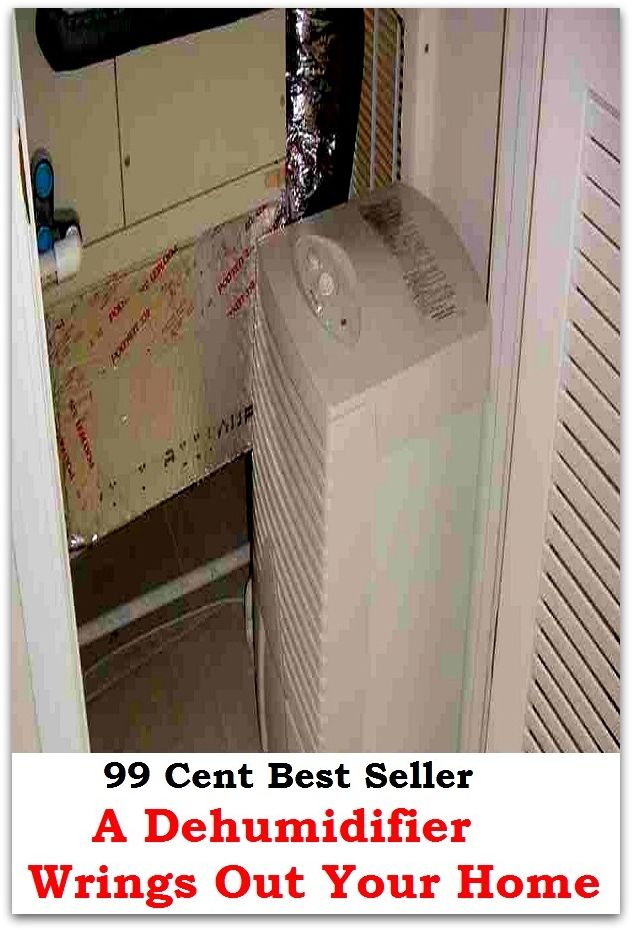 99 Cent Best Seller A Dehumidifier Wrings Out Your Home ( theory, hypothesis, conjecture, speculation, assumption, premise, presumption, guess )