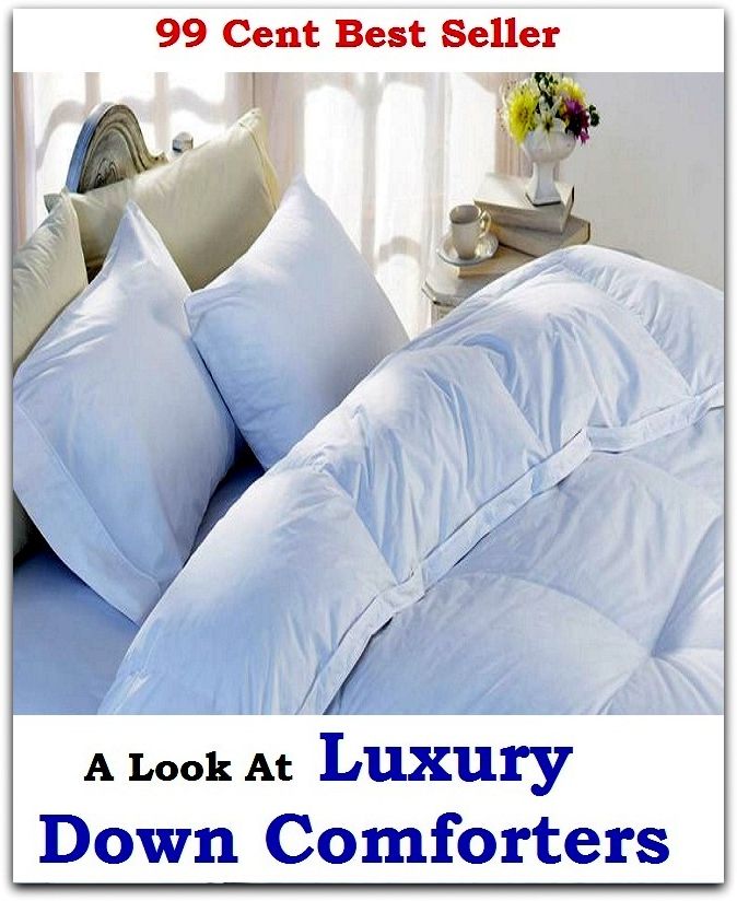 99 Cent Best Seller A Look At Luxury Down Comforters ( way, method, means, technique, mode, system, approach, manner, line of attack, routine )