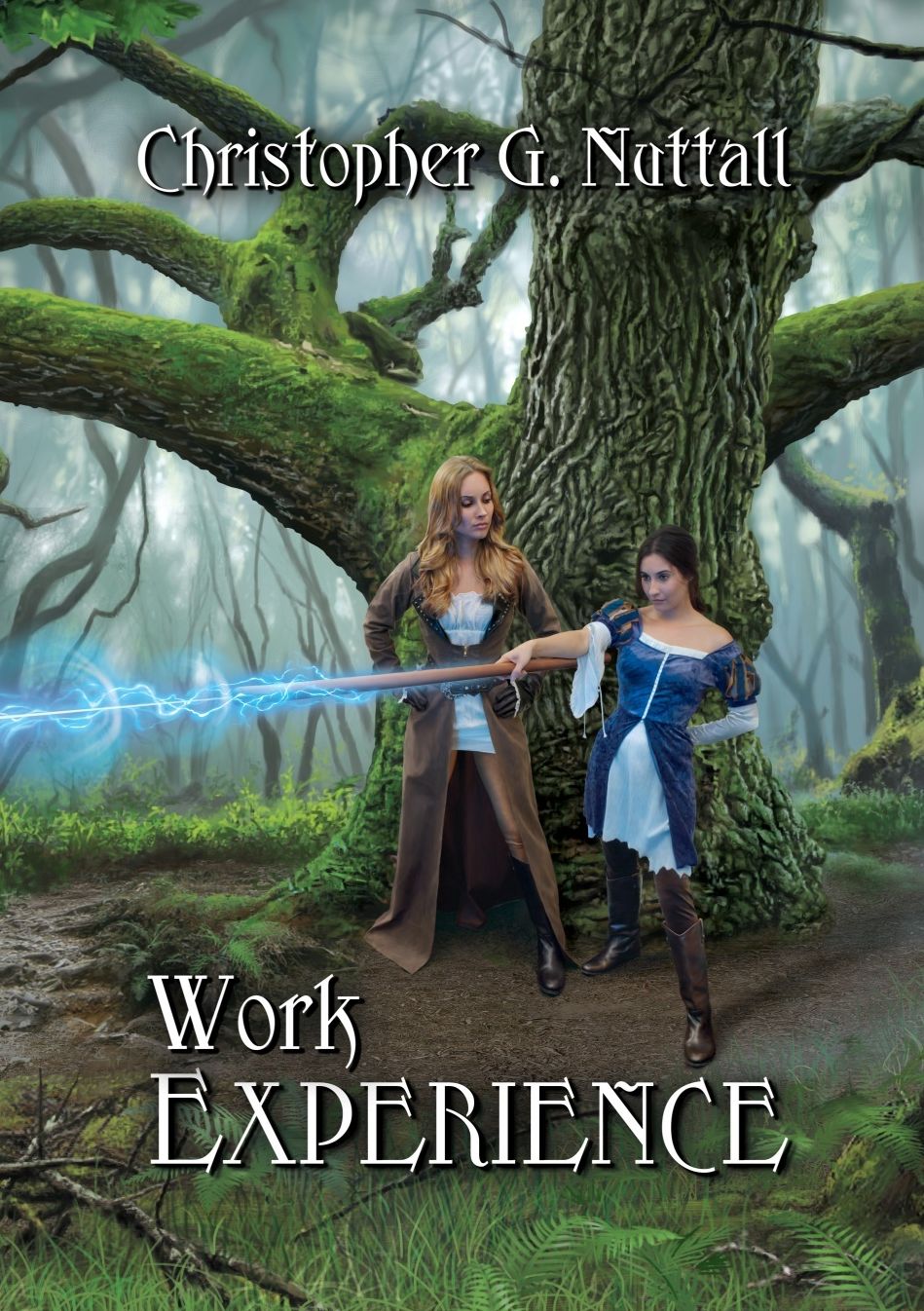 Work Experience