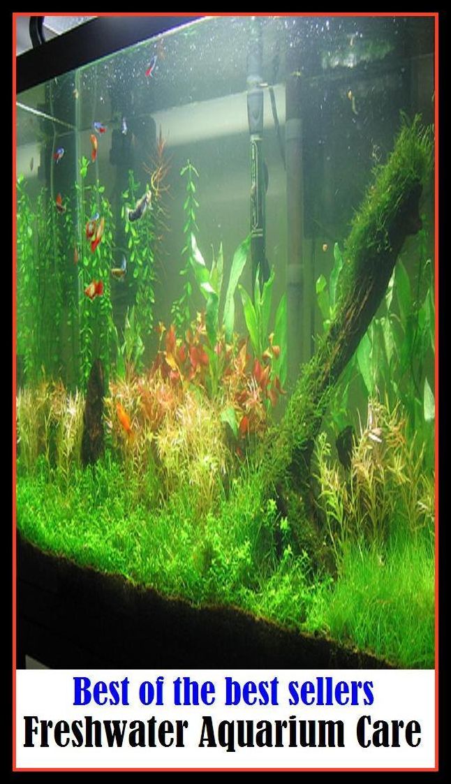Best of the Best Sellers Freshwater Aquarium Care ( safekeeping, supervision, custody, charge, protection, control, responsibility, guardianship, wardship, help )