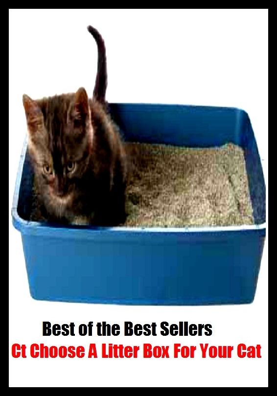 Best of the Best Sellers Ct Choose A Litter Box For Your Cat (air mattress, young, be confined, yean, bear a child, welter, bed, waste, bedding, underbedding )