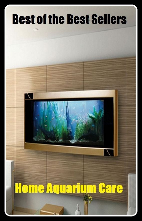 Crafts & Hobbies: Best of the Best Sellers Home Aquarium Care ( safekeeping, supervision, custody, charge, protection, control, responsibility, guardianship, wardship, help )