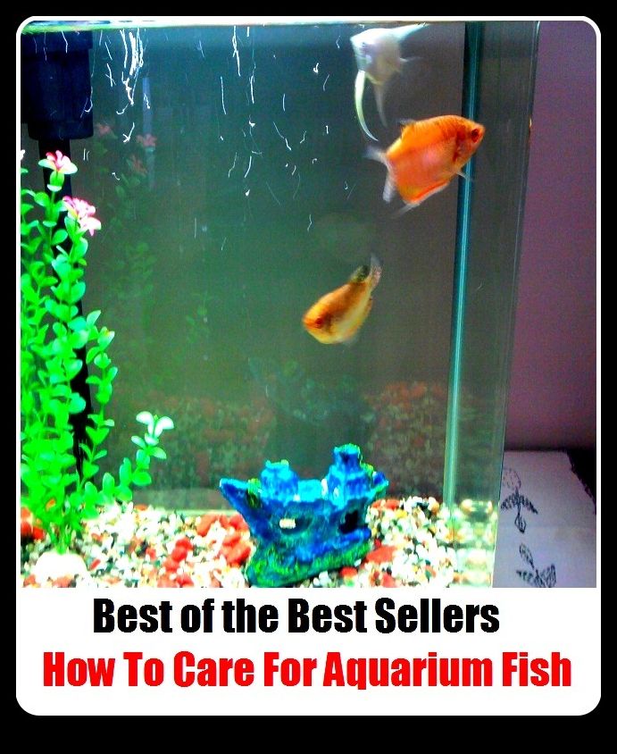 Best of the Best Sellers How To Care For Aquarium Fish ( go fishing, angle, cast, trawl, troll, seine, goblin, hobgoblin, gnome, halfling )