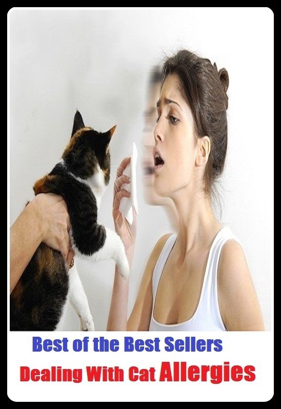Best of the Best Sellers Dealing With Cat Allergies (anaphylactic, unfriendly, apoplectic, tumorigenic, averse, tubercular, cancerous, ticklish, colicky, tetchy)