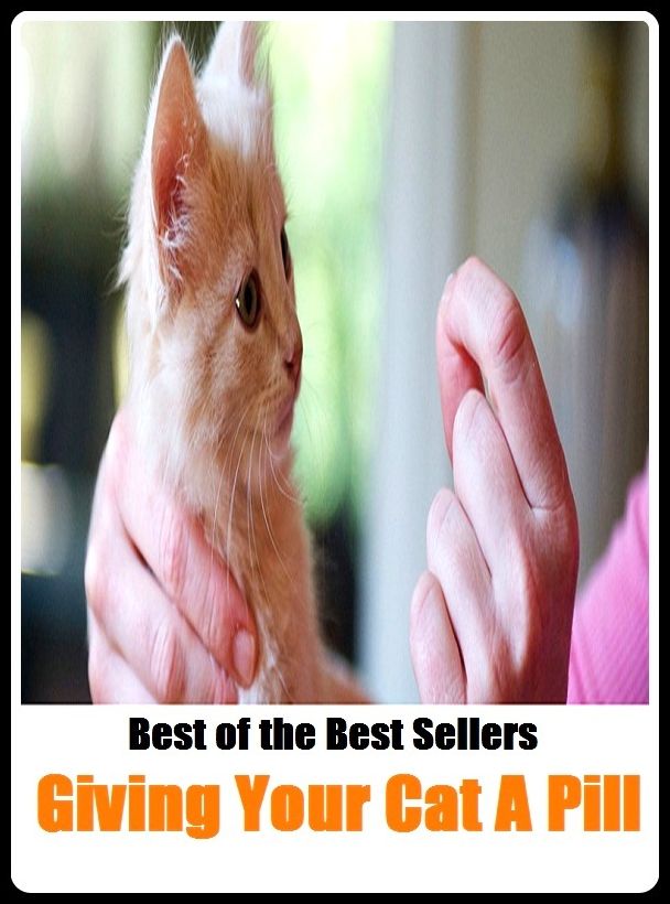 Best of the Best Sellers Giving Your Cat A Pill ( heel, medicament, hooligan, lozenge, intrauterine device, jerk, louse, humdrum, meanie, hood)