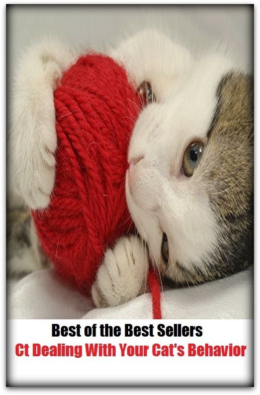Best of the Best Sellers Ct Dealing With Your Cat S Behavior ( Pavlovian conditioning, workings, acting, work, actions, unconditioned reflex, activity, reorientation, comportment, reflex, conditioning )