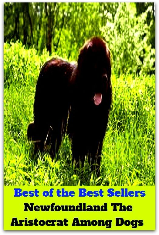 Best of the Best Sellers Newfoundland The Aristocrat Among Dogs ( Brahman, waldgrave, armiger, upper-cruster, baronet, swell, count, silk-stocking, duke, seigneur, esquire, patrician )