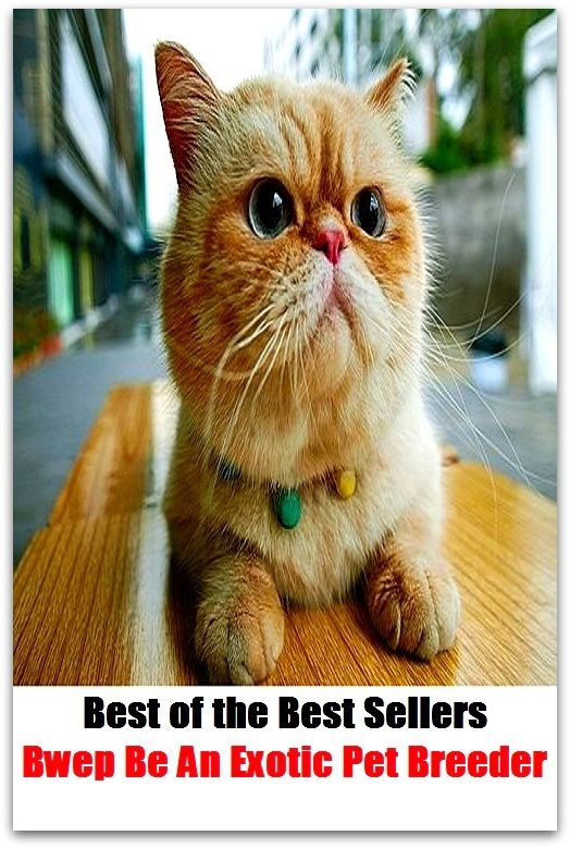 Best of the Best Sellers Bwe Be An Exotic Pet Breeder ( variety, stock, strain, type, kind, sort, child, offspring, progeny, generation, breed, imp)