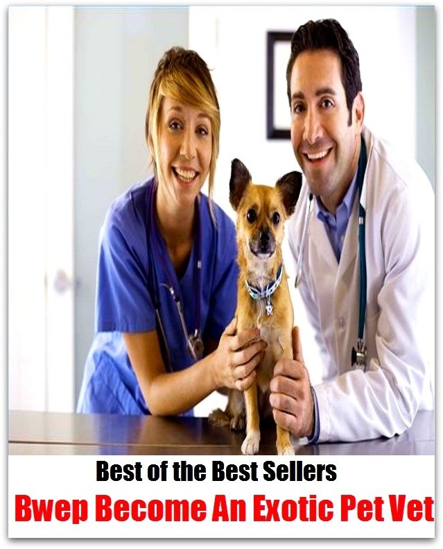 Best of the Best Sellers Bwe Become An Exotic Pet Vet ( bone, war-horse, canvass, veterinary surgeon, check up, veterinarian, contemplate, versed, drill, take a long, examine, survey)