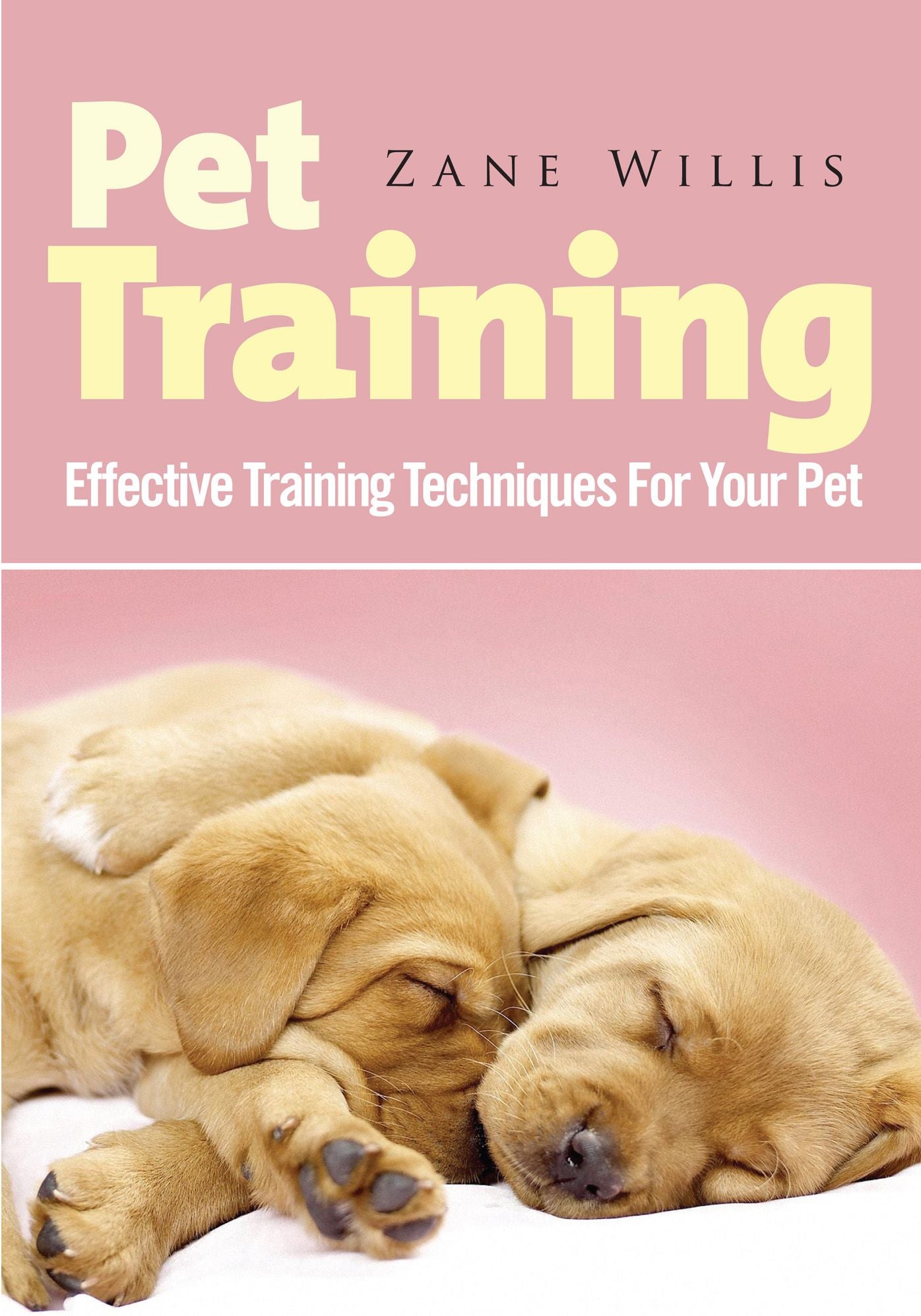 Pet Training