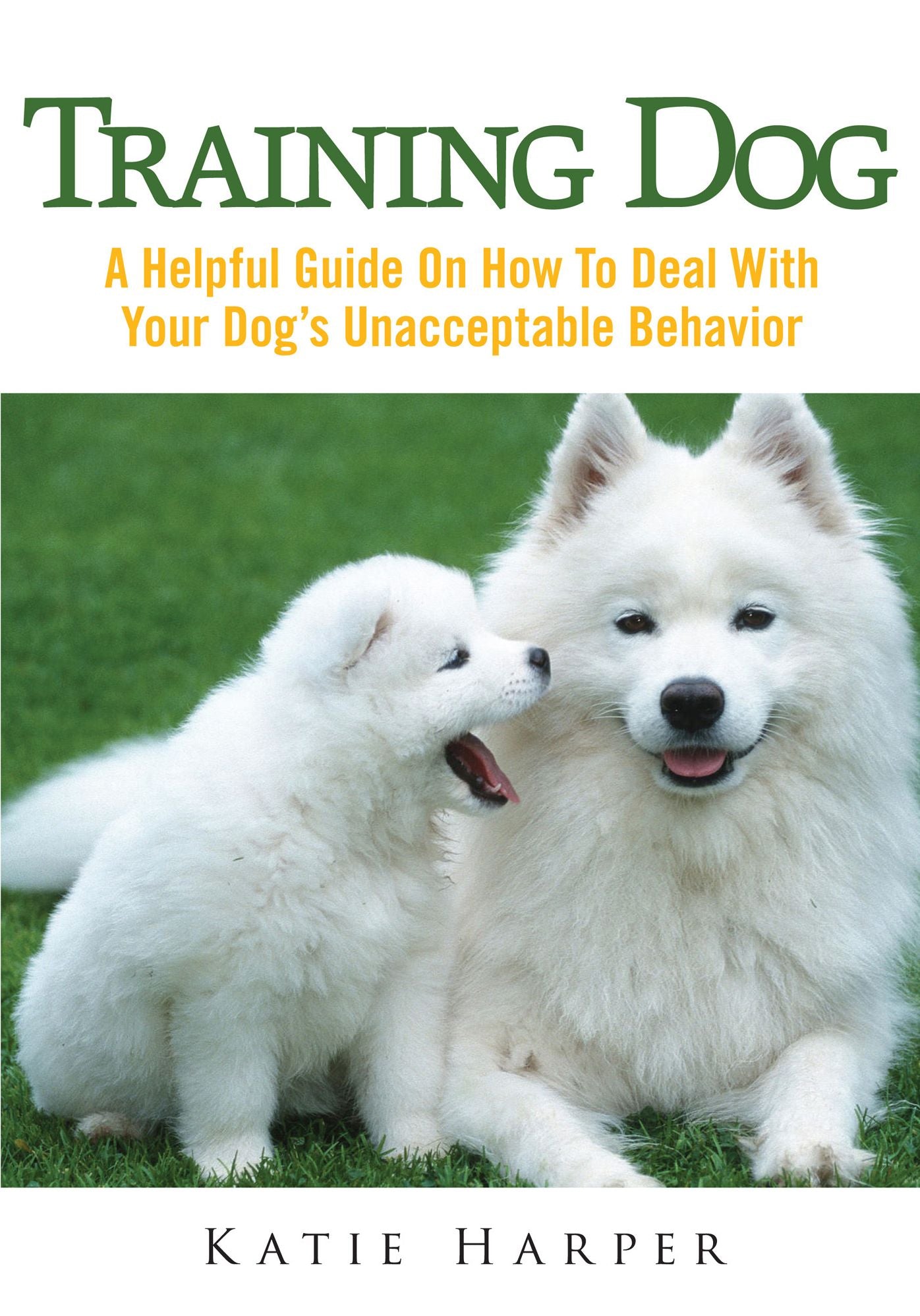 Training Dog