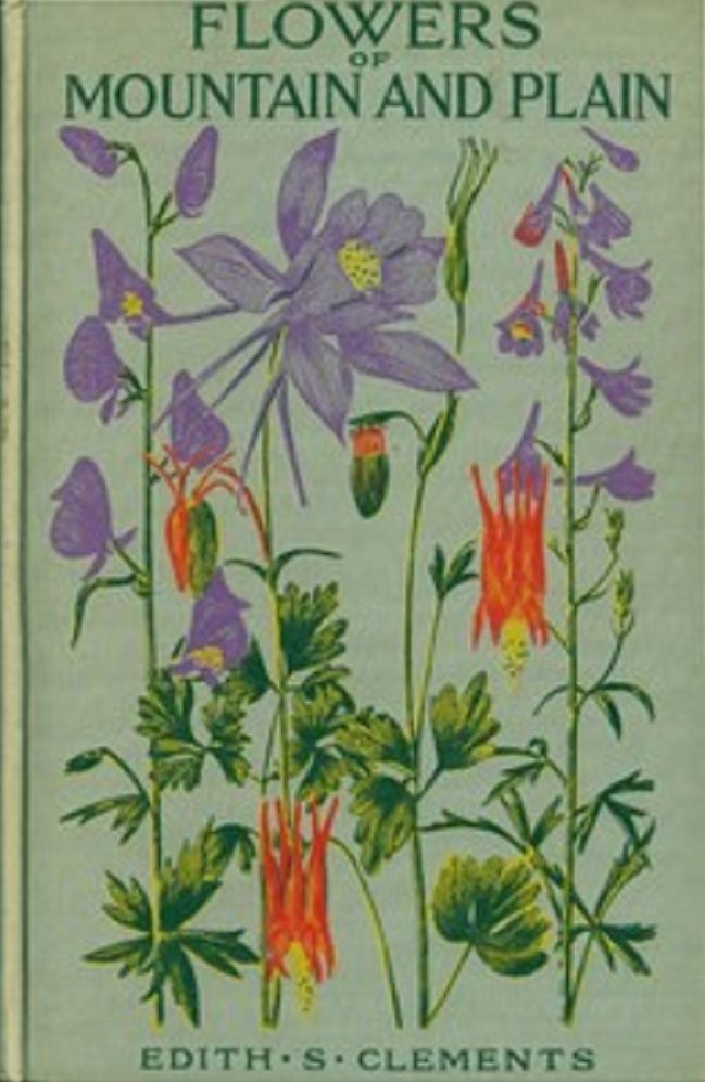 Flowers of Mountain and Plain (Illustrated)