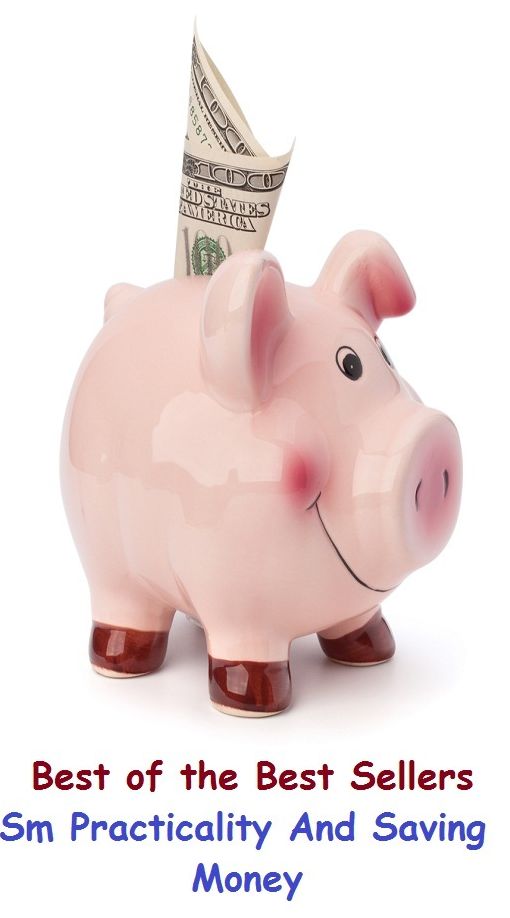 Best of the best sellers Sm Practicality And Saving Money ( budgeting, allocate, calculate, apportion, compute, cost, estimate, predict, ration, allotment, allowance, donation, giving, funding, grant, marketing )