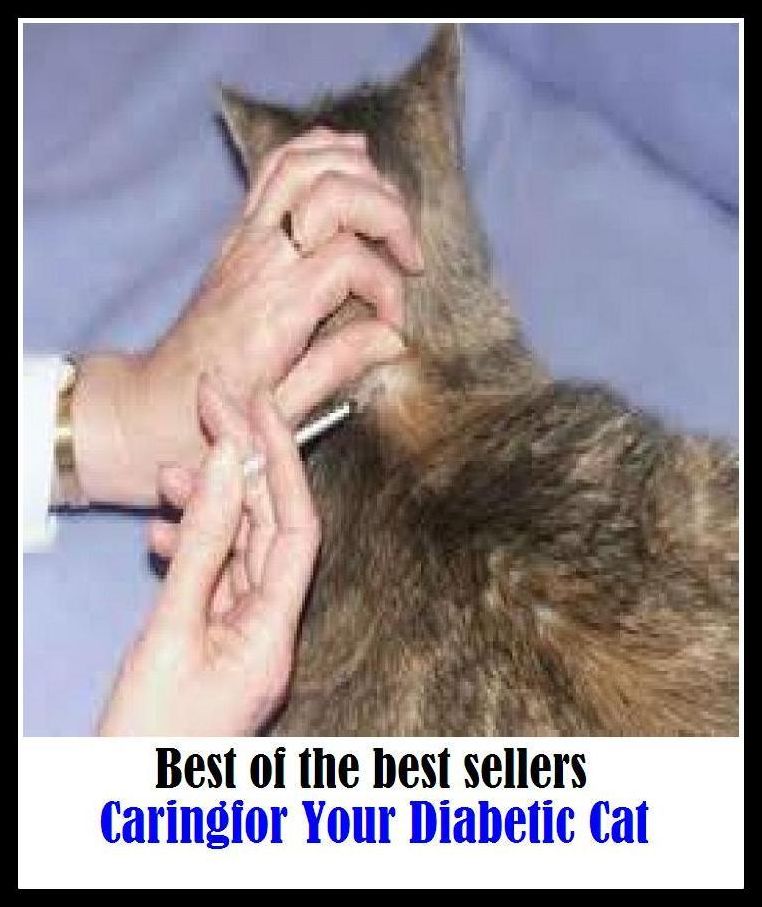 Best of the Best Sellers Caringfor Your Diabetic Cat (marinate bird, marinated, carnation, Carine, caring, daringly, caring, Cariotta, Corinthian, Cariotta)