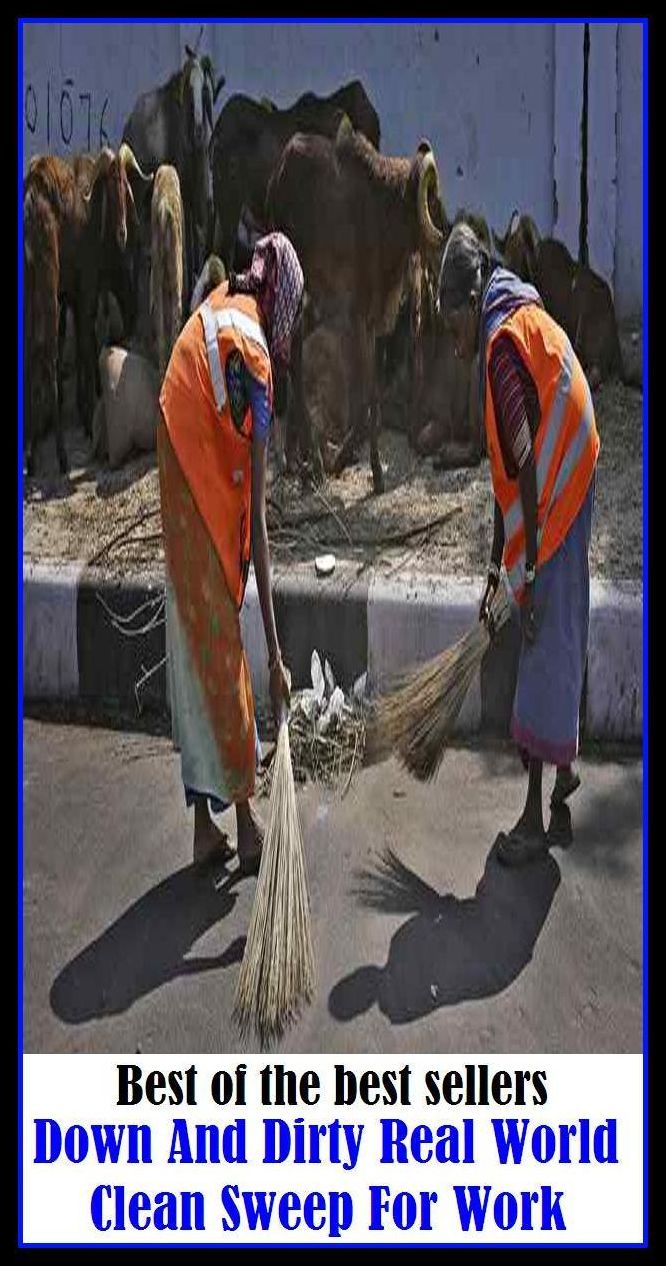 Best of the Best Sellers Down And Dirty Real World Clean Sweep For Work ( employment, a job, a position, a situation, a post, an occupation, a profession, a career, a vocation, a calling, wage labor )