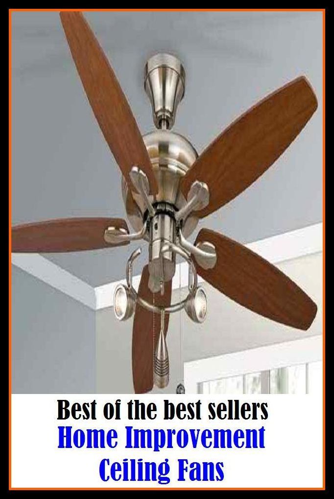 Best of the Best Sellers Home Improvement Ceiling Fans ( Heaven, world to come, VA hospital, what is fated, a better place, well-baby clinic, accessible, ward, afterlife, veterans hospital )