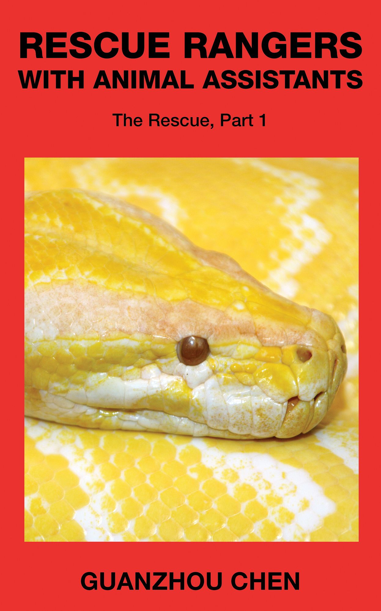 Rescue Rangers with Animal Assistants; The Rescue, Part 1