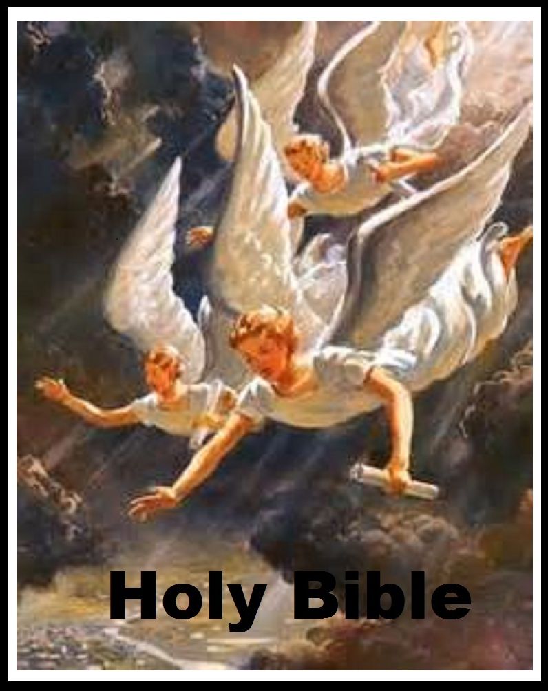 Best Seller HOLY BIBLE ( spirituality, rites, Christian, religion, The Holy Quran, illustrations, saints, spiritual religion, religious, bible, Lord, commandments, history, historical, teachings, budda, theology, preacher, reverend, Jesus )