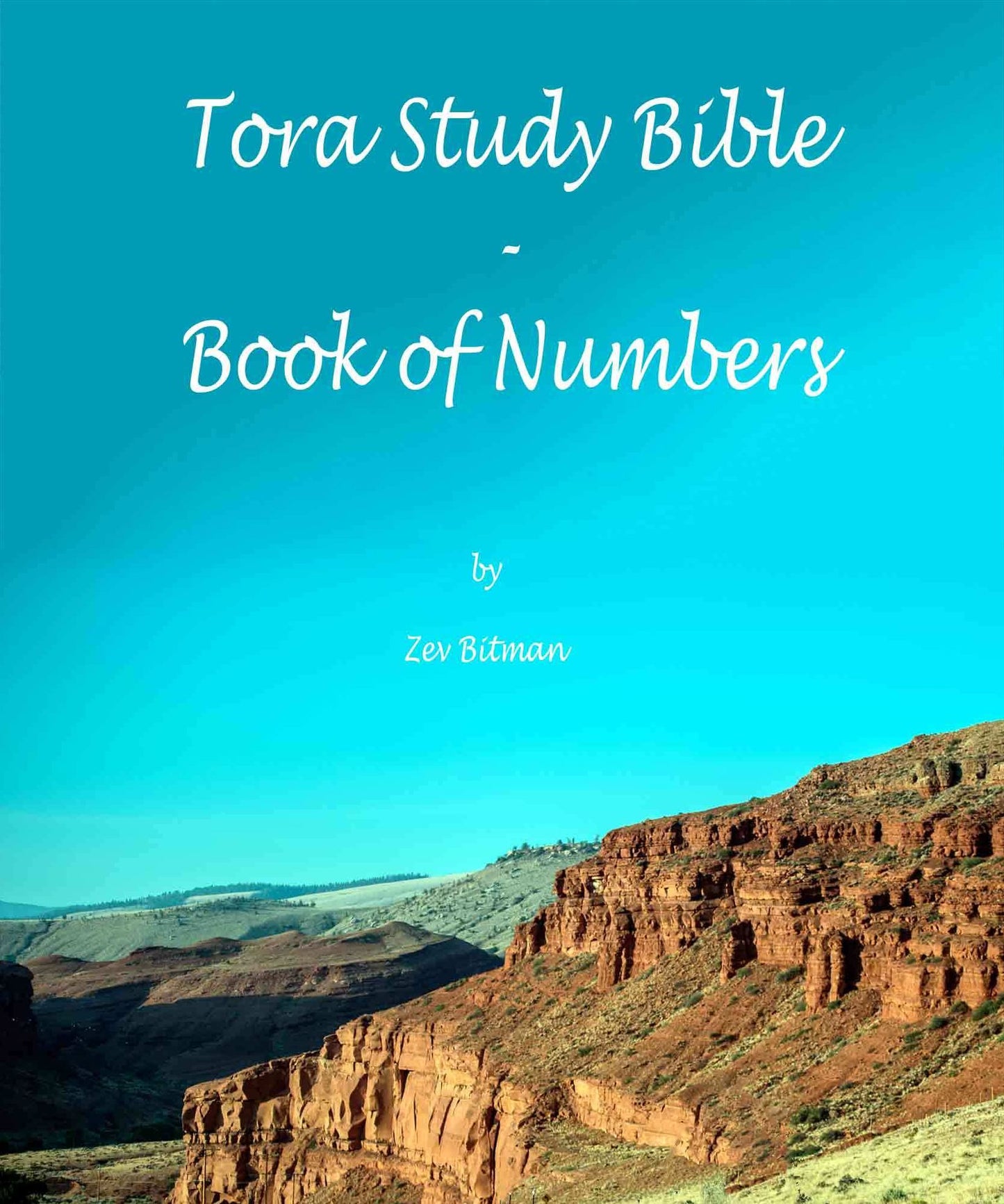 Tora Study Bible: Book of Numbers