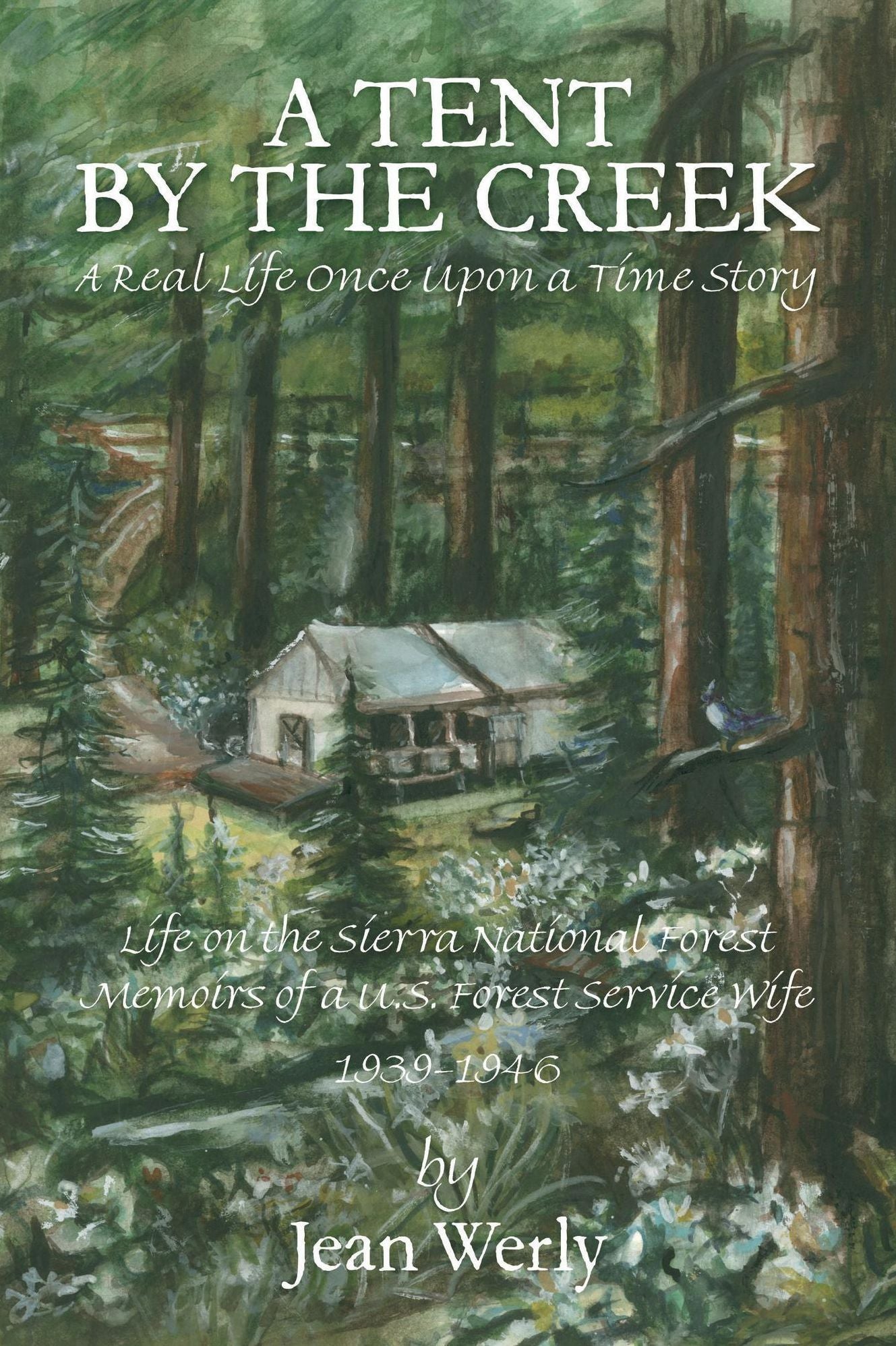 A Tent by the Creek A Real Life Once Upon a Time Story