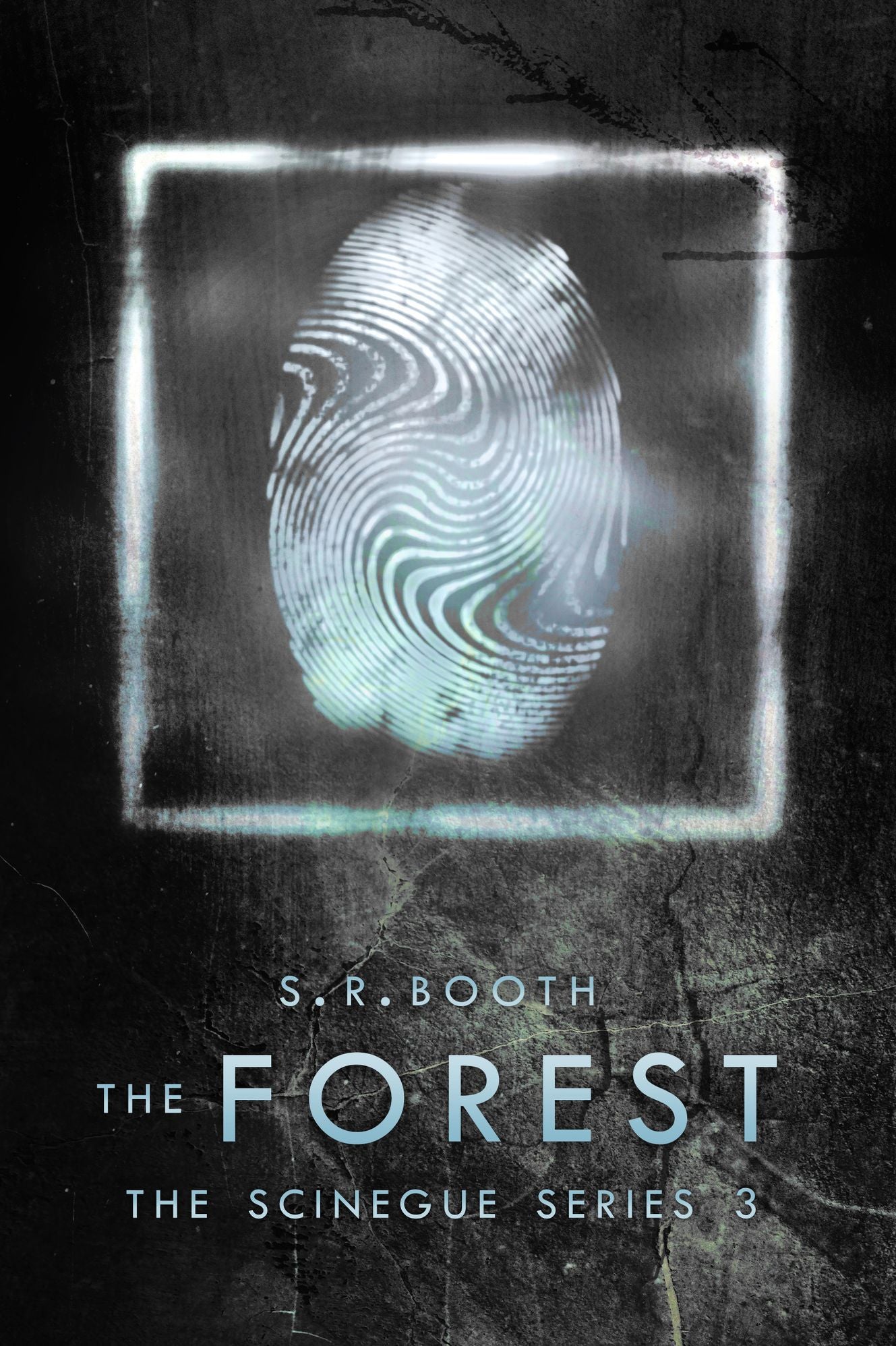 The Forest