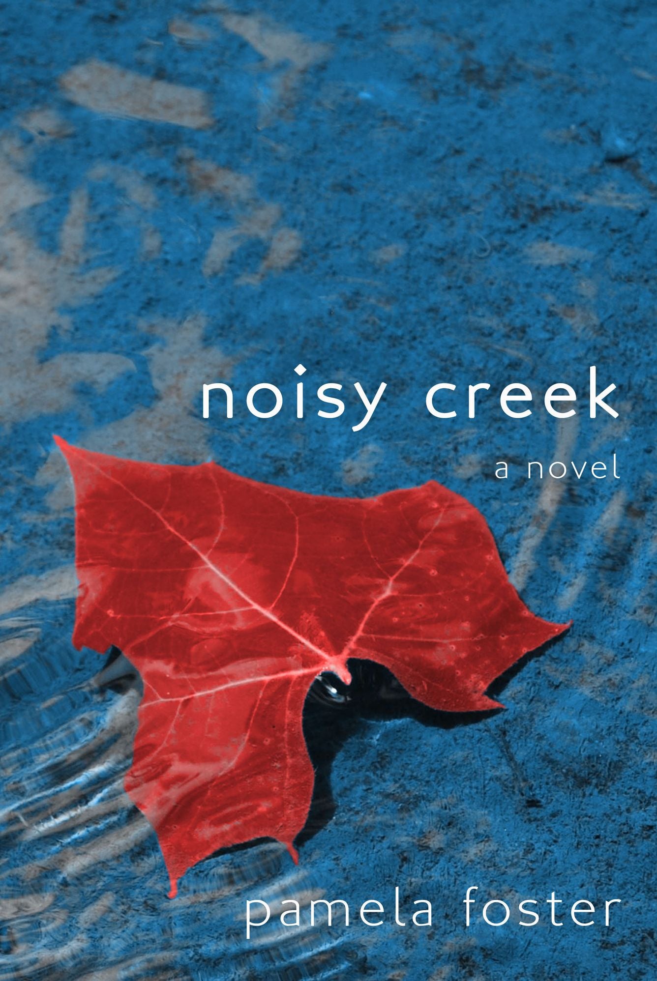 Noisy Creek