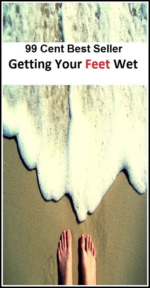 99 Cent Best Seller Getting Your Feet Wet ( way, method, means, technique, mode, system, approach, manner, line of attack, routine )