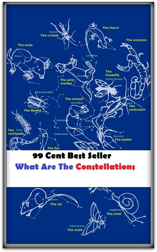 99 Cent Best Seller What Are The Constellations ( circumstance, future, intention, objective, prospect, breaks, conclusion, condition, cup )