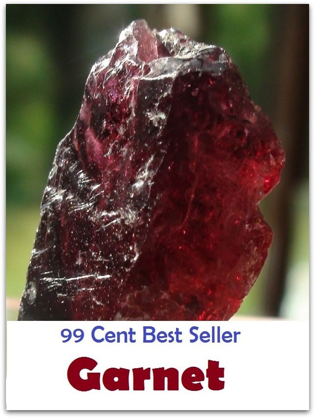 99 Cent Best Seller Garnet ( Mystery, romance, action, adventure, sci fi, science fiction, drama horror thriller, classic, novel, literature, suspense)