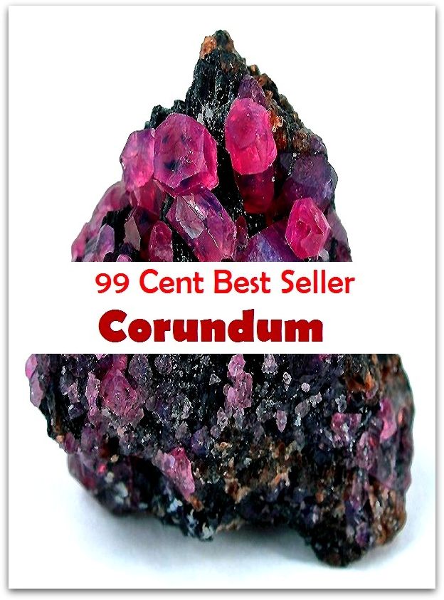 99 Cent Best Seller Corundrum ( guidance, explain expectations, employee evaluation, employee performance, evaluate employees, Assessment Evaluation, Job classification title, accomplishments, strengths, career development plan )