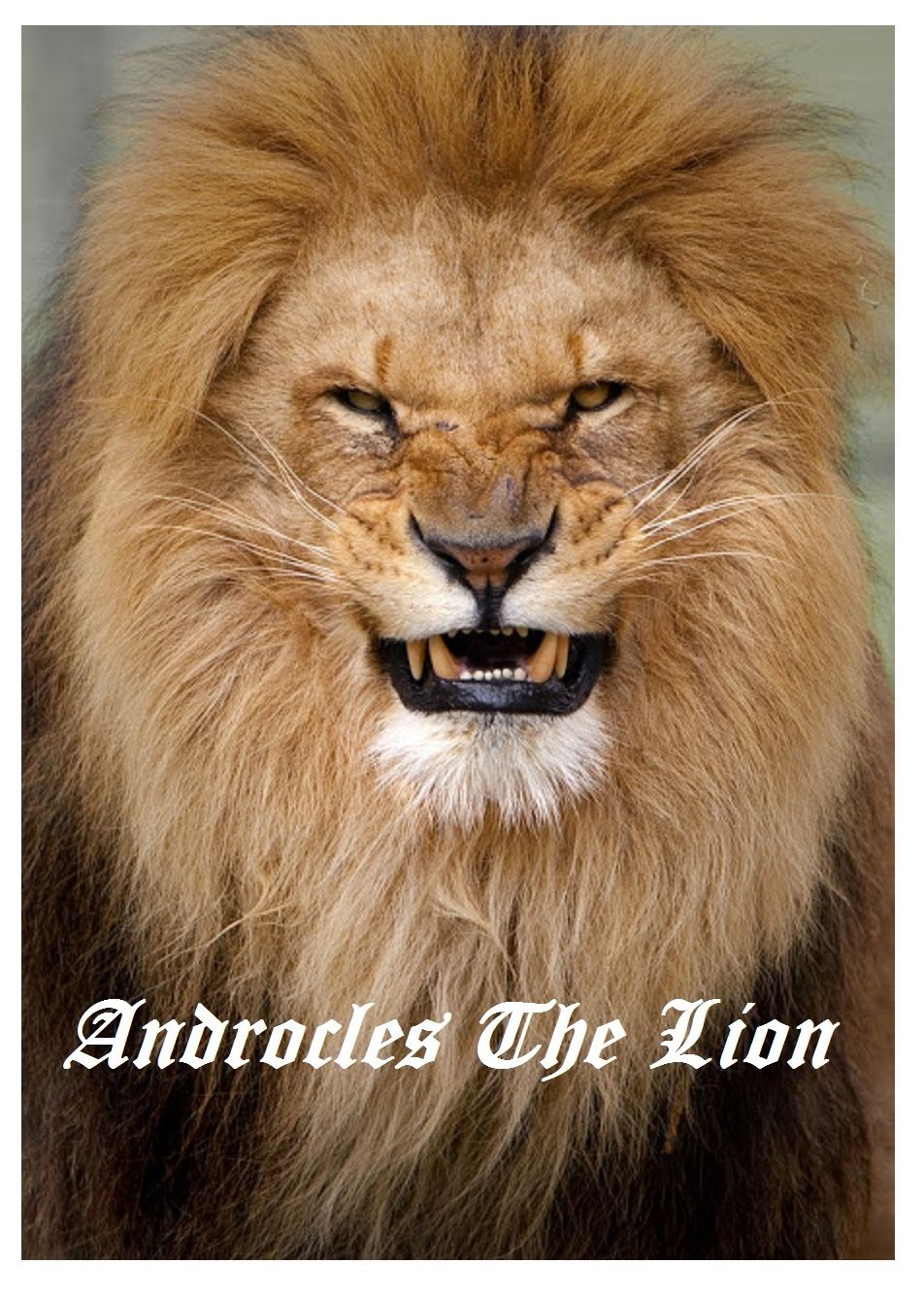 Classic Books: Best Sellers Androcles and The Lion -Annotated- (Lord, commandments, history,, historical, teachings, budda, theology,education, marriage, religion, government, health care, and class privilege )