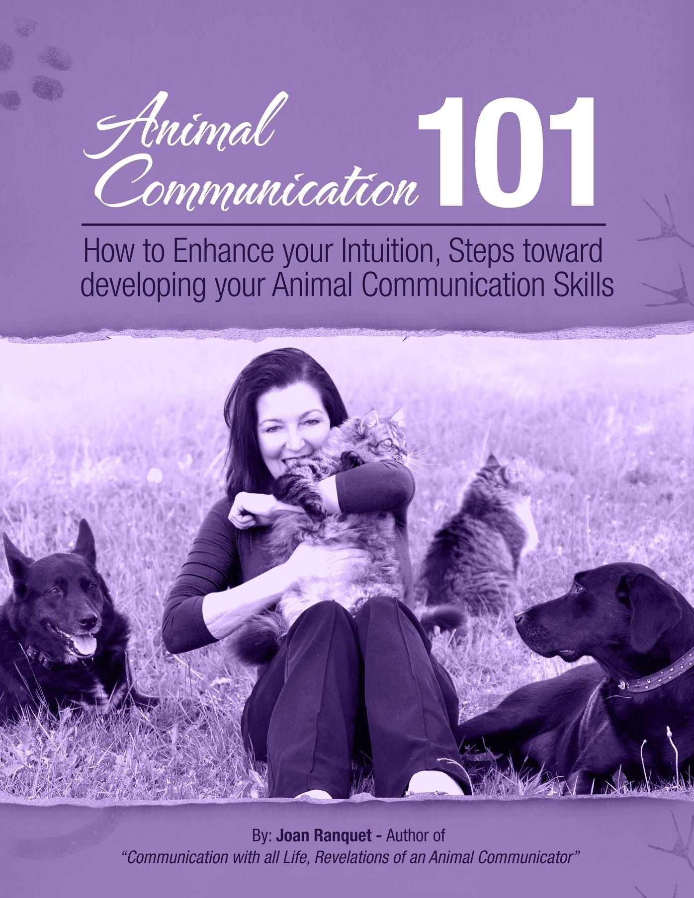 How to Enhance Your Intuition, Steps Toward Developing Your Animal Communication Skills